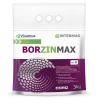 Borzinmax