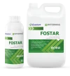 Fostar