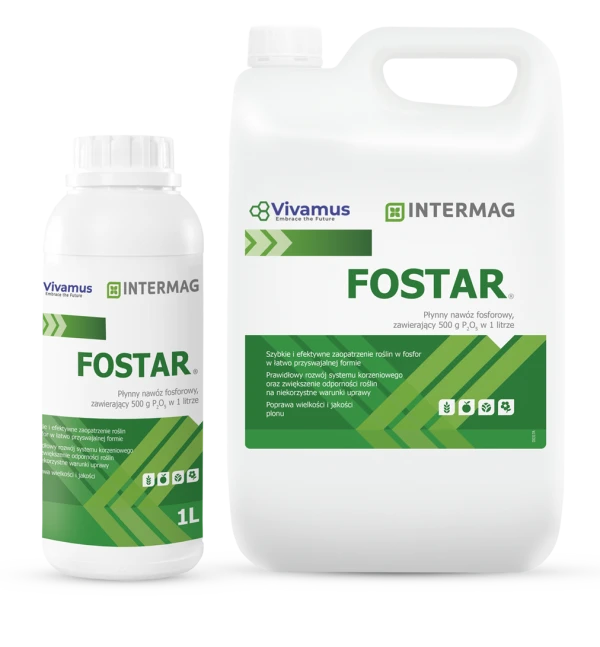 Fostar