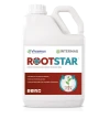 Rootstar